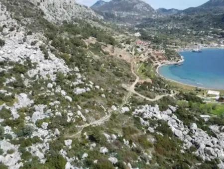 Sea View Land For Sale In Söğüt Village Of Marmaris District, Suitable For Investment 50 Meters From The Sea