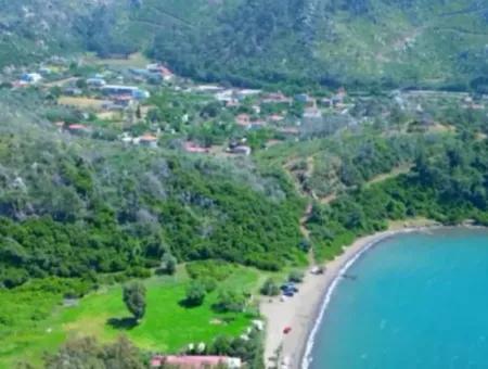 Marmaris Hisarönü Körfezinde 4000M2 Denize Sıfır Satılık Arsa